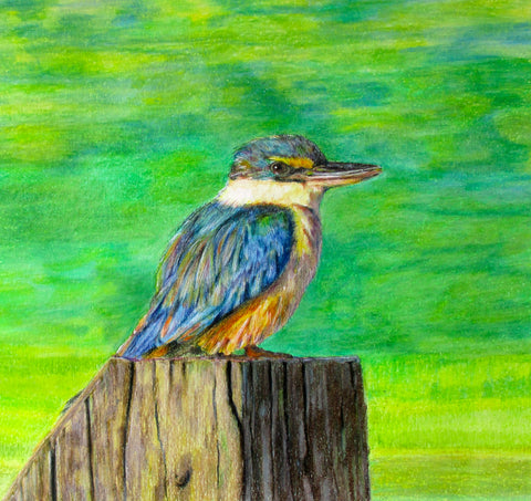 Kingfisher - Original Artwork